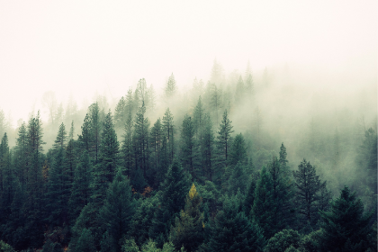 SEC-rule-climate